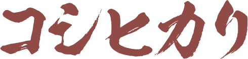 コシヒカリ